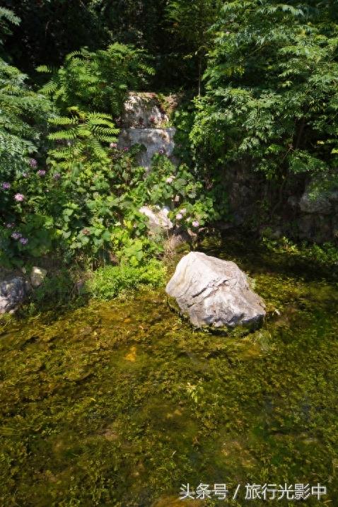天下奇观:山东省泗水县泉林景区
