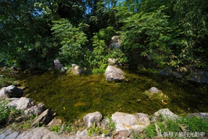 天下奇观:山东省泗水县泉林景区