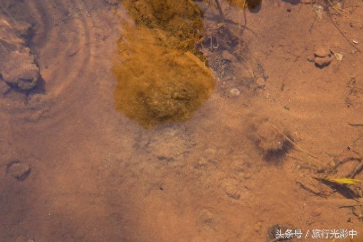 天下奇观:山东省泗水县泉林景区