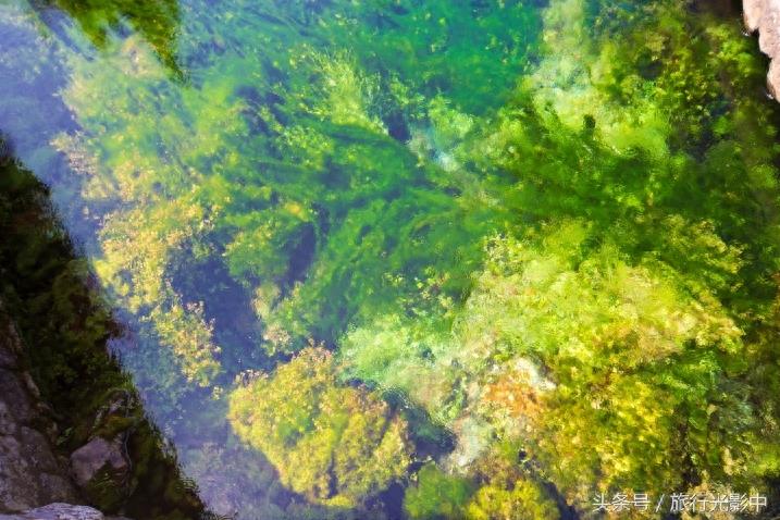 天下奇观:山东省泗水县泉林景区