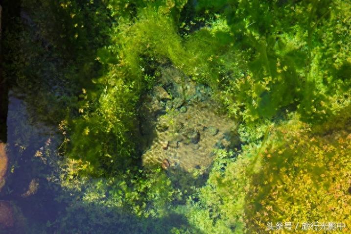 天下奇观:山东省泗水县泉林景区