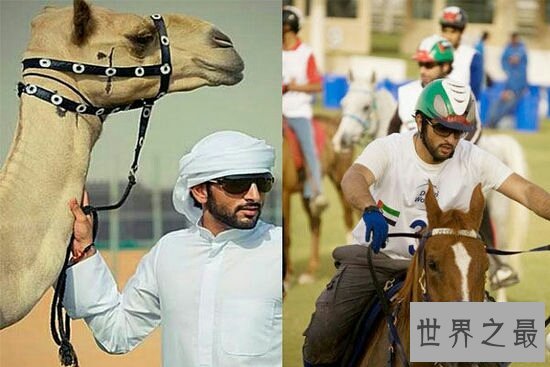 马克图姆王储在迪拜的实力非常强大,仅次于阿联酋酋长