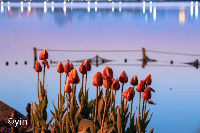 《心房》(4)小星也有追求梦想的时候