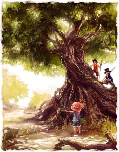 海贼王ASL精美壁纸:兄弟友情让人向往!