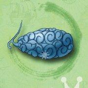 海贼王中的果实排名，它无疑却是最强的恶魔果实！