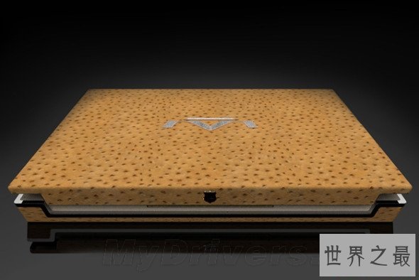 世界上最贵的电脑,蓝色基因(150万美元)