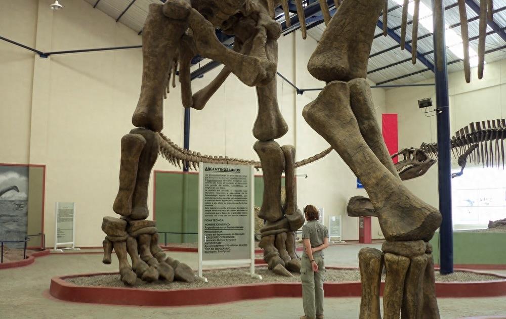 世界上最大的恐龙:阿根廷龙,体长40米体重100吨!