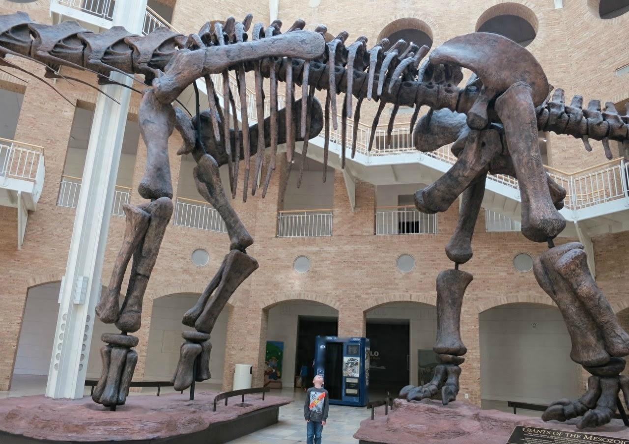 世界上最大的恐龙:阿根廷龙,体长40米体重100吨!