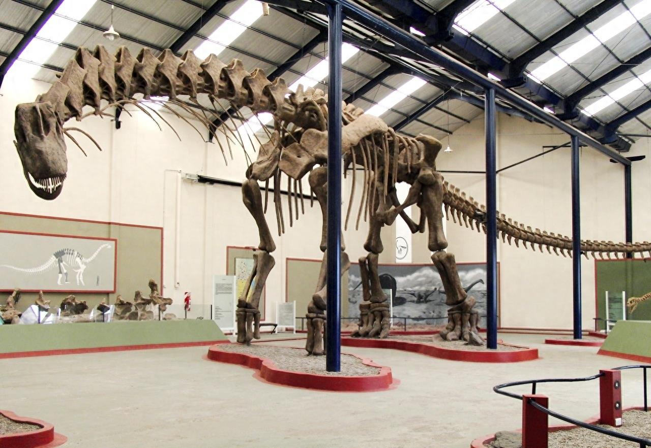 世界上最大的恐龙:阿根廷龙,体长40米体重100吨!