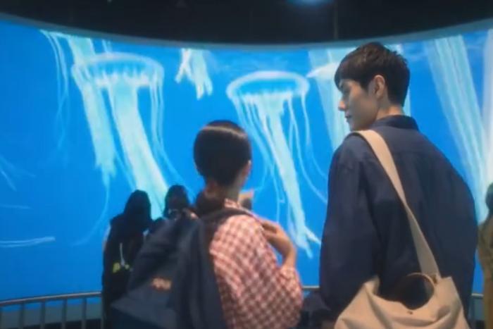 《独家记忆》番外播出时间,高甜剧情值得期待,终于能看到同框!