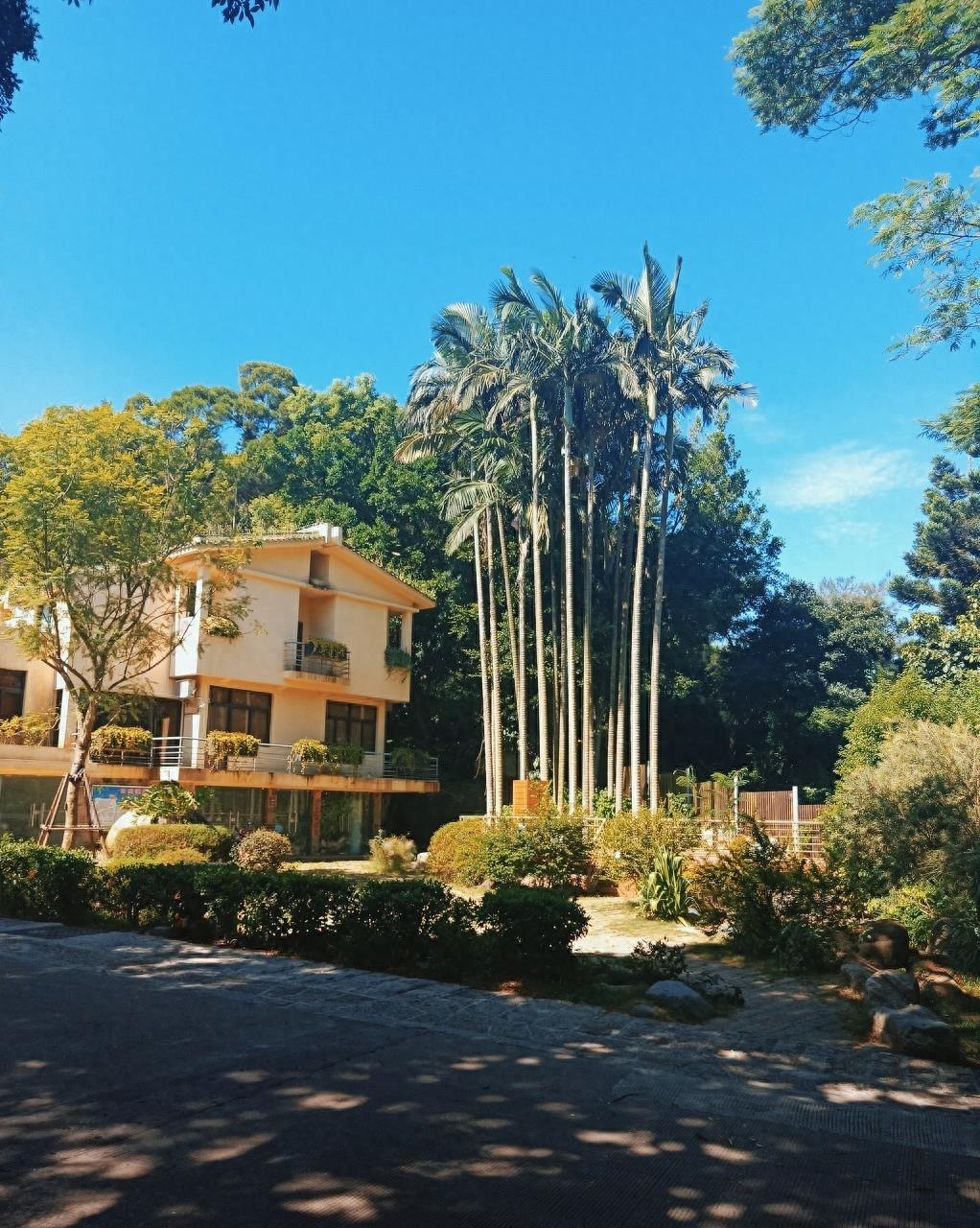 中山路步行街位于芜湖市中部偏西,是条具有综合功能的大型商业街