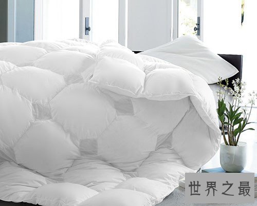 世界上最贵的羽绒被,40万一床
