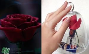 阿芙美女与野兽合作款有哪些?阿芙美女与野兽护肤品价格