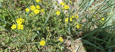 ​财商的底层逻辑究竟是什么？它真的能帮到我们吗？