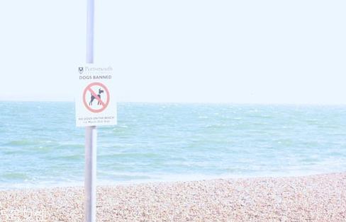 西女一个西女你的嘴巴和手很白是什么意思?