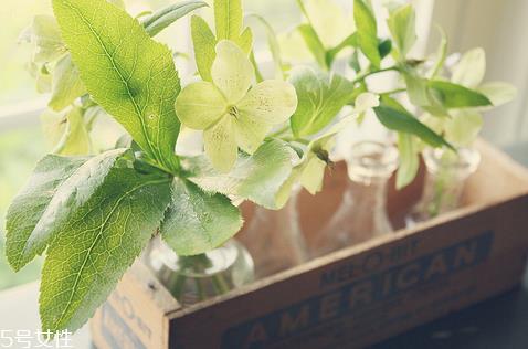 西女一个西女你的嘴巴和手很白是什么意思?