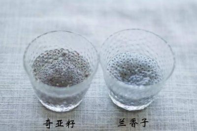 ​奇亚籽的功效与作用 奇亚籽减肥怎么吃