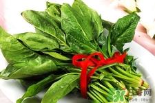 菠菜热量高吗?菠菜吃多了会发胖吗?