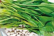 菠菜热量高吗?菠菜吃多了会发胖吗?