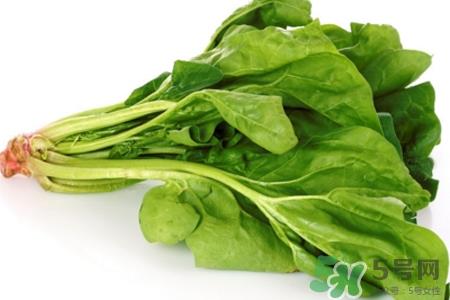 菠菜热量高吗?菠菜吃多了会发胖吗?