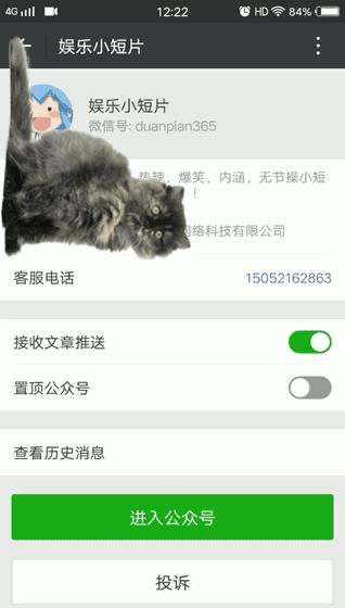 手机屏幕上可以养宠物了?!你们一定不知道……