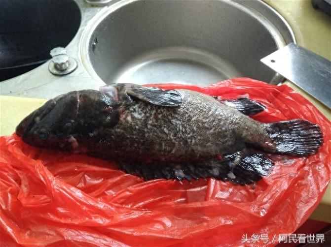 老婆做的清蒸“老虎斑鱼” 海南三亚买的 40块钱一斤