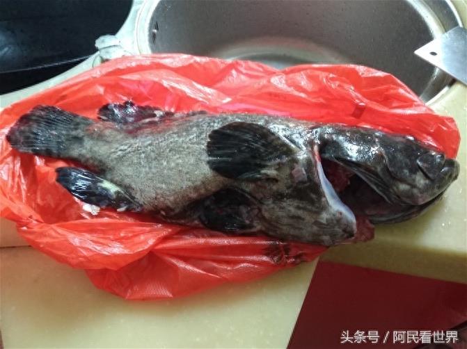 老婆做的清蒸“老虎斑鱼” 海南三亚买的 40块钱一斤