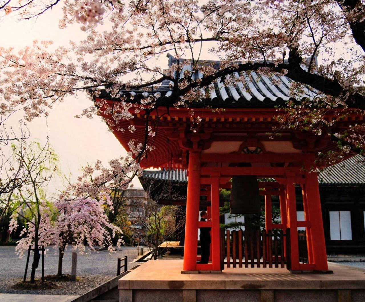 三十三间堂是日本古建筑,位于今京都市东山区七条