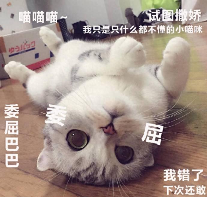 表情包:猛亲一口