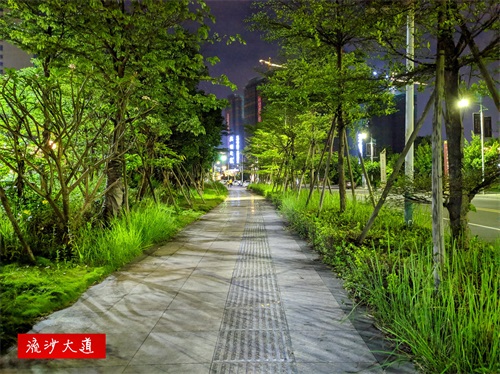 夜幕下的广东普宁站 厦深铁路沿线最繁忙的高铁站之一