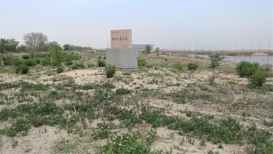 黄骅古贝壳堤,世界三大古贝壳堤之一