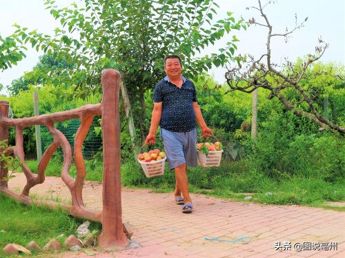 农民种植10亩桃子，采摘价每斤4元，猜一猜年赚多少钱？