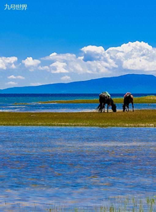 中国最新十大湖泊排行,洞庭湖第三,鄱阳湖第二!