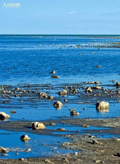 中国最新十大湖泊排行,洞庭湖第三,鄱阳湖第二!