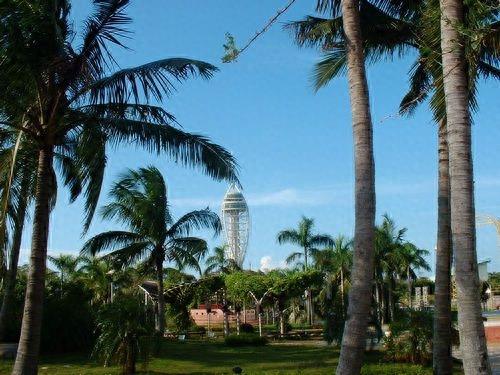 海南热带海洋世界，是中国第一个以热带和海洋为主题的大型公园