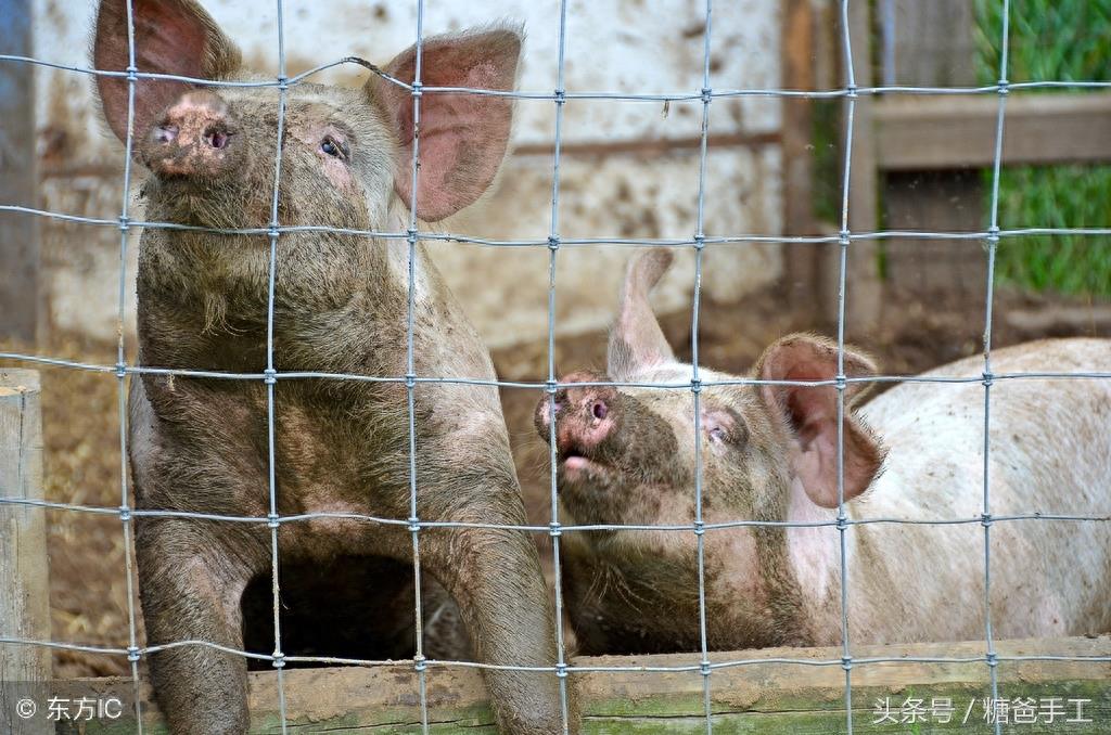 “腌臜”你会读吗 这个词在红楼梦里居然出现了28次