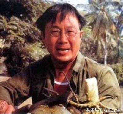 香港娱乐圈的杰出人物——许氏四杰，四兄弟分别是谁？