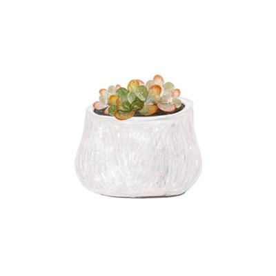 唯美清新花朵头像微信高清