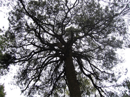 湖南常德桃花源旅游区