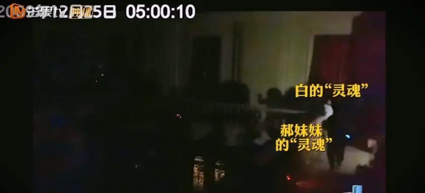 明星大侦探玫瑰酒店案件(明星大侦探酒店系列整合集)