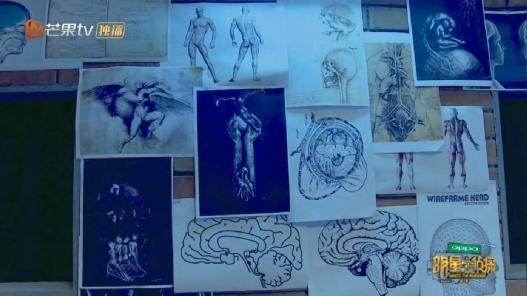 明星大侦探玫瑰酒店案件(明星大侦探酒店系列整合集)