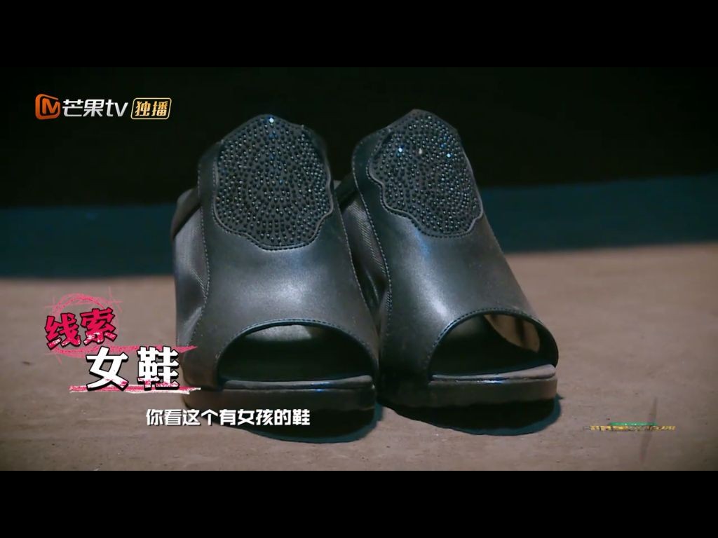 明星大侦探玫瑰酒店案件(明星大侦探酒店系列整合集)