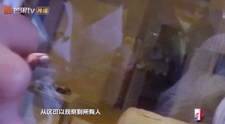 明星大侦探玫瑰酒店案件(明星大侦探酒店系列整合集)