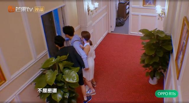 明星大侦探玫瑰酒店案件(明星大侦探酒店系列整合集)