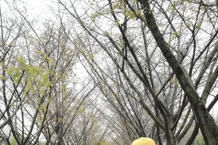 外孙女上外公的户口需要改姓吗