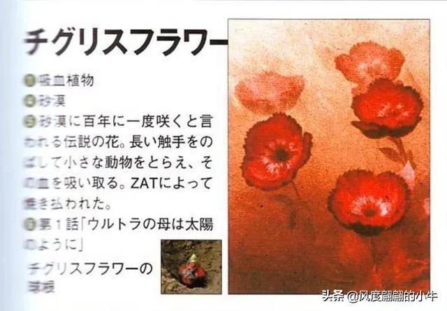 泰罗奥特曼第6集的怪物（剧场版奥特物语宇宙人怪兽图鉴敌役）(2)