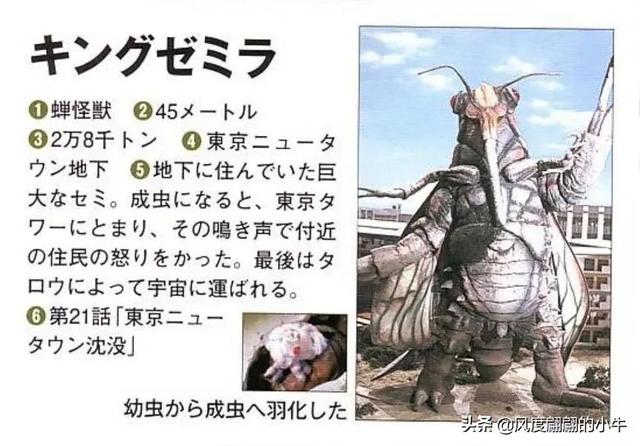 泰罗奥特曼第6集的怪物（剧场版奥特物语宇宙人怪兽图鉴敌役）(26)