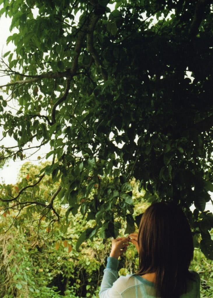 国仲凉子个人资料写真作品