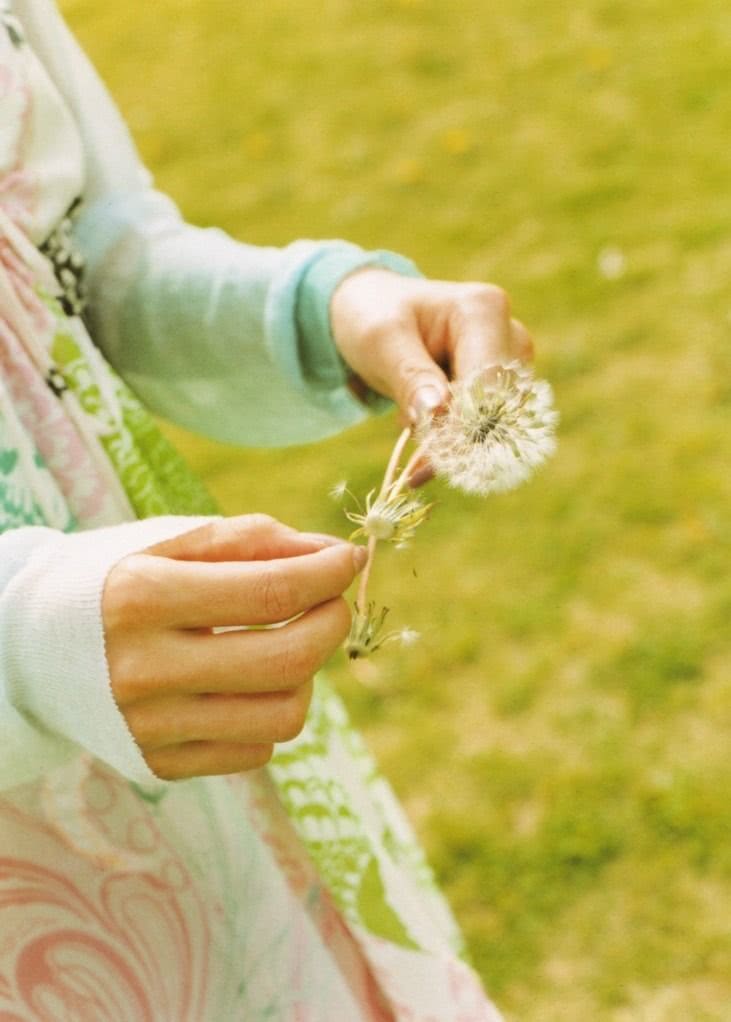 国仲凉子个人资料写真作品