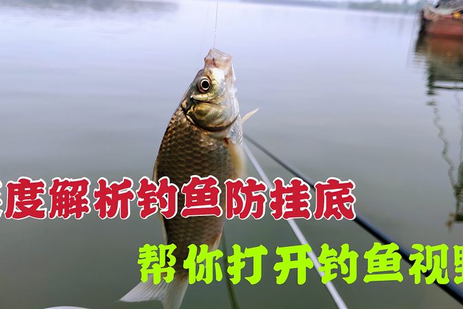 钓鱼术语有哪些（钓鱼术语大全，你会吗 ）